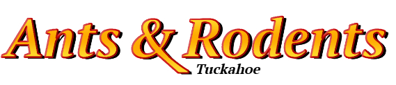Tuckahoe Ant Exterminator & Rodent Control Company Logo